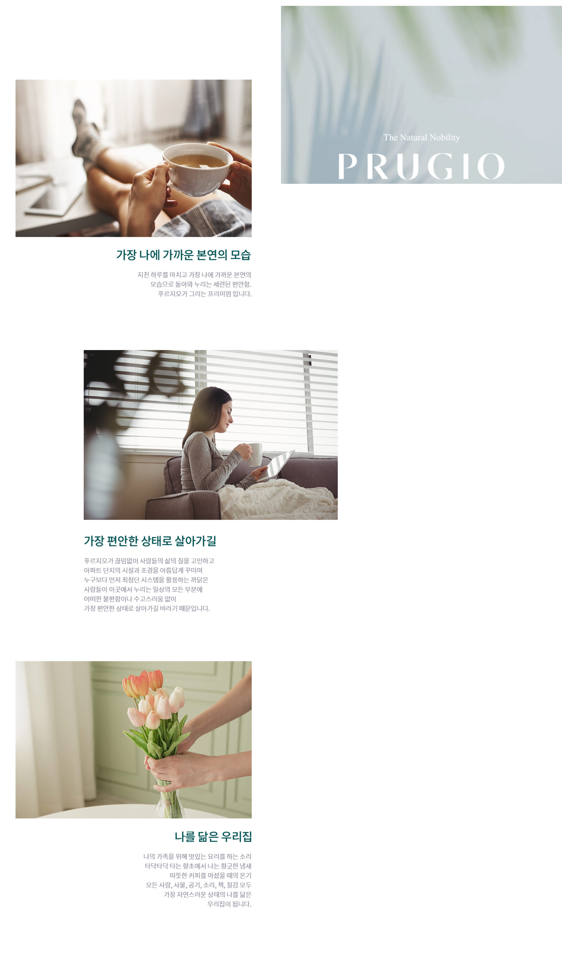 브랜드소개.jpg
